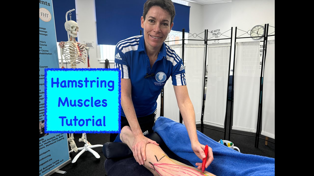 Unleash the Power: Hamstring Muscles Anatomy Explained!