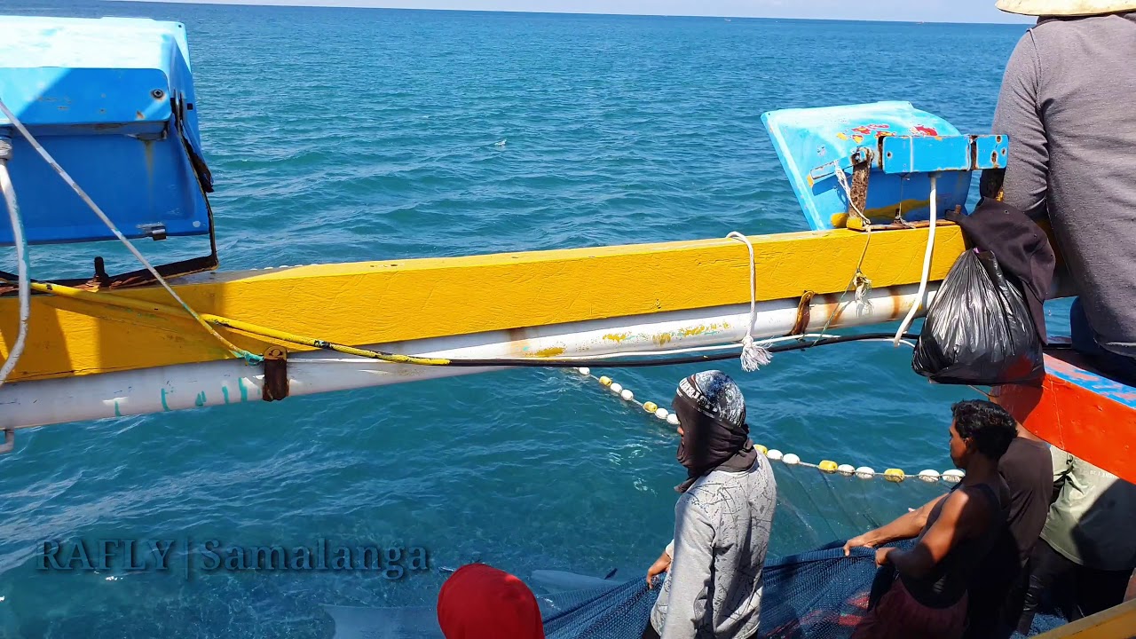 Labuh ikan tongkol..