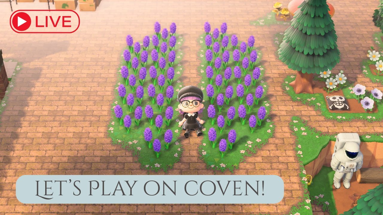 ACNH: Blossom: Let's work on the Entrance