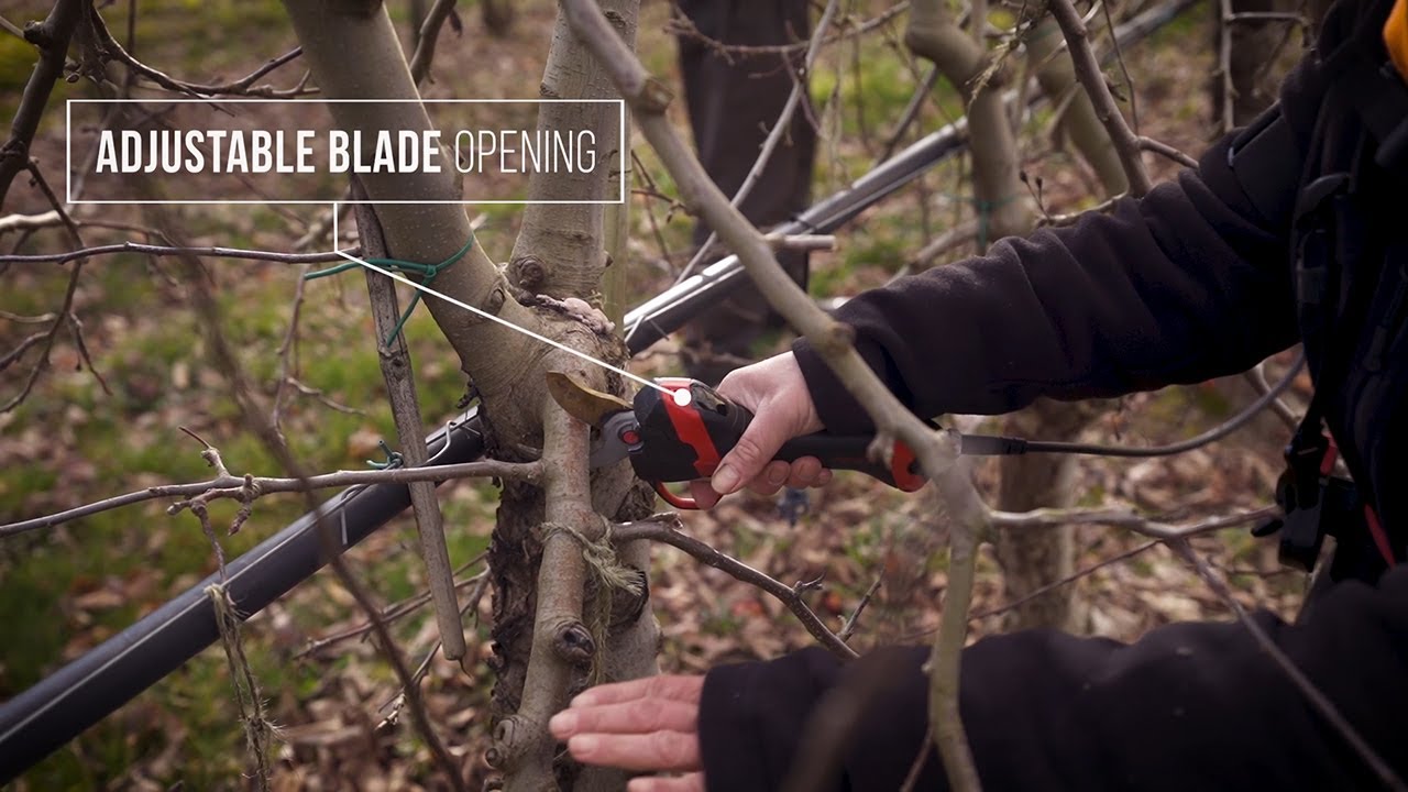EN - FRUIT GROWING - Pruning shears F3020 / POWERCOUP PW3 - INFACO