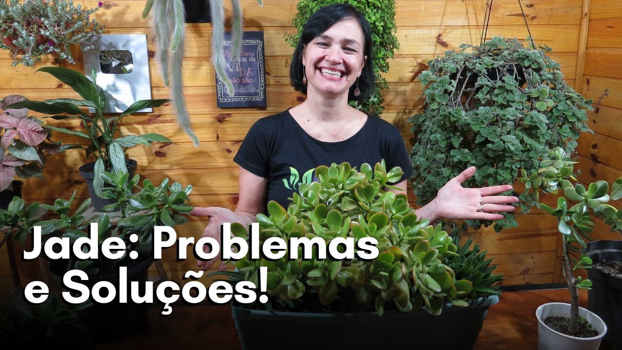 Jade: Problemas e Solu&ccedil;&otilde;es!