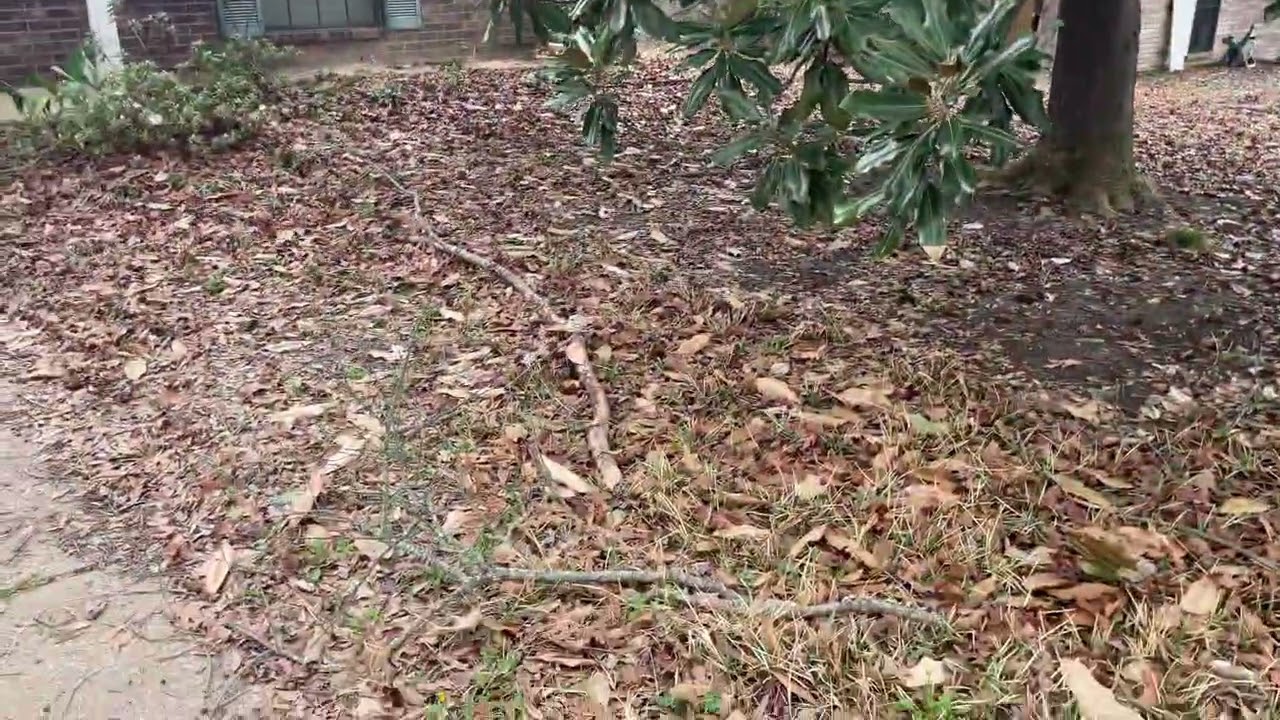 15049 Northwood Dr Move Out Inspections Part 2 Outside
