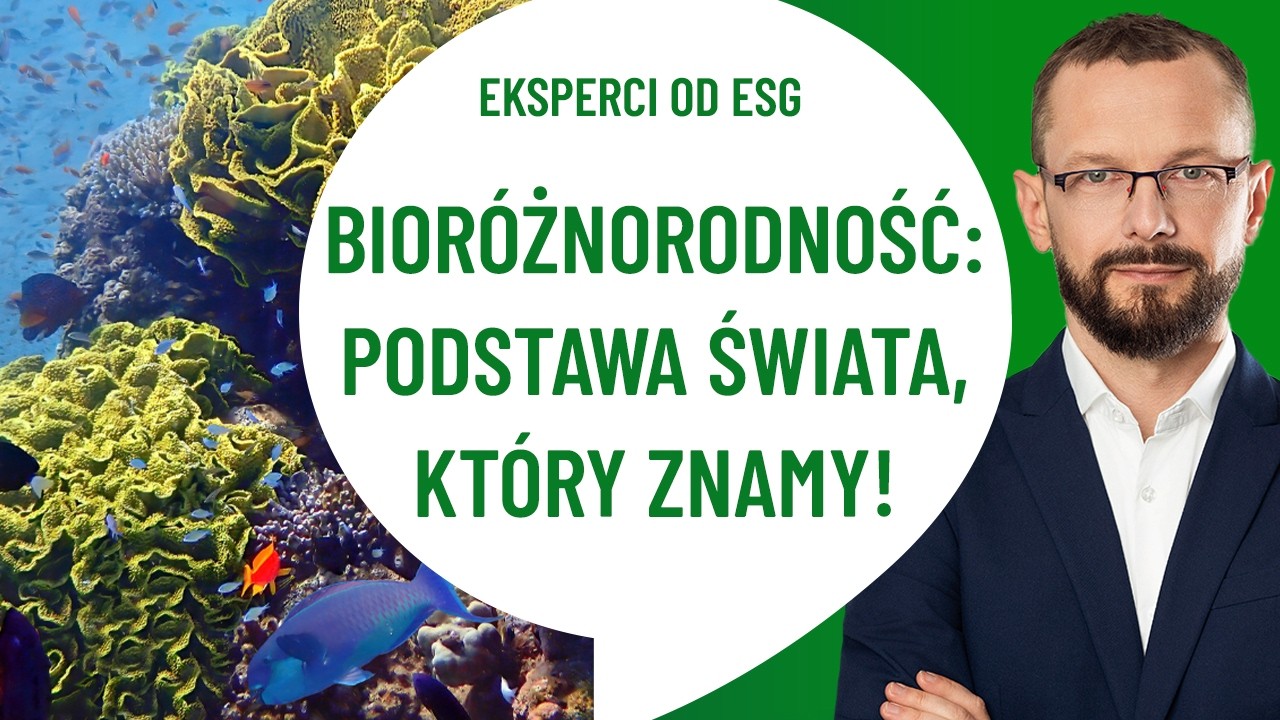 Dlaczego BIORÓŻNORODNOŚĆ jest tak ISTOTNA? | Praktycznie o ESG