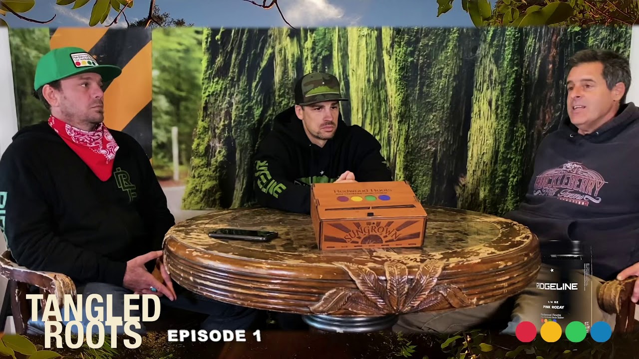 Tangled Roots Podcast Episode 1