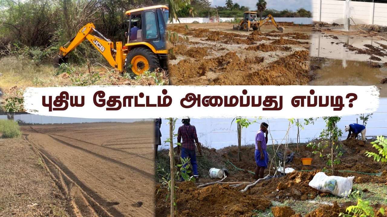😱 இந்த மாதிரி களிப்பு மண்ணில் கூட Orchard possible? 3x3 Pit Secret Explained!