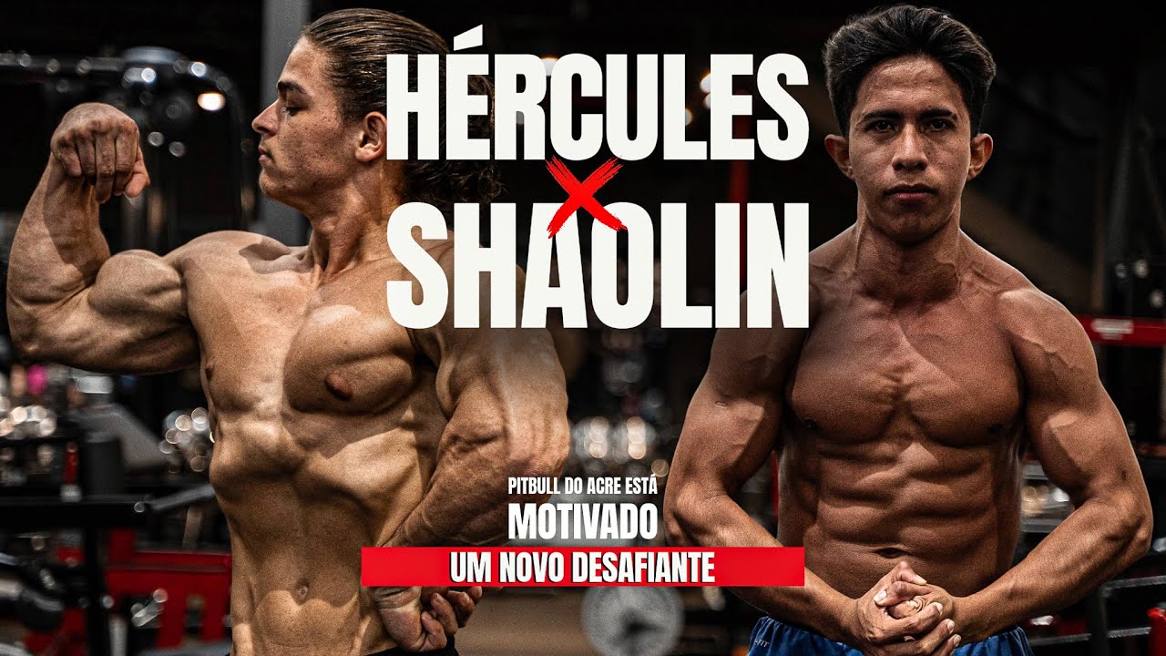 HÉRCULES X SHAOLIN - PITBULL DO ACRE ESTÁ MOTIVADO