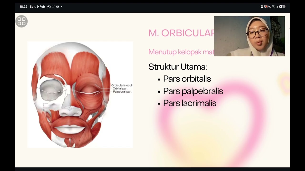 TUGAS VIDEO ANATOMI REGIO FACIALIS Dr.dr.Oski llliandr.M.Kes