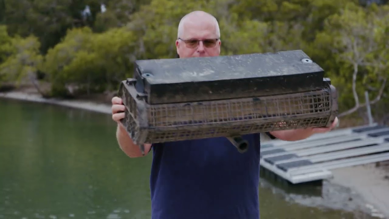 Flupsy and Mesh Inserts - Working with Hatchery Spat | NSW Farmers Association