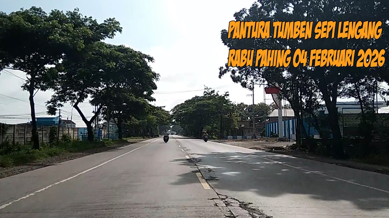 MAMPIR BELI SUSU DUA BUNGKUS ||PANTURA RACE ||52 ||RABU PAHING PAGI 04 FEBRUARI 2026#bus #truck#full