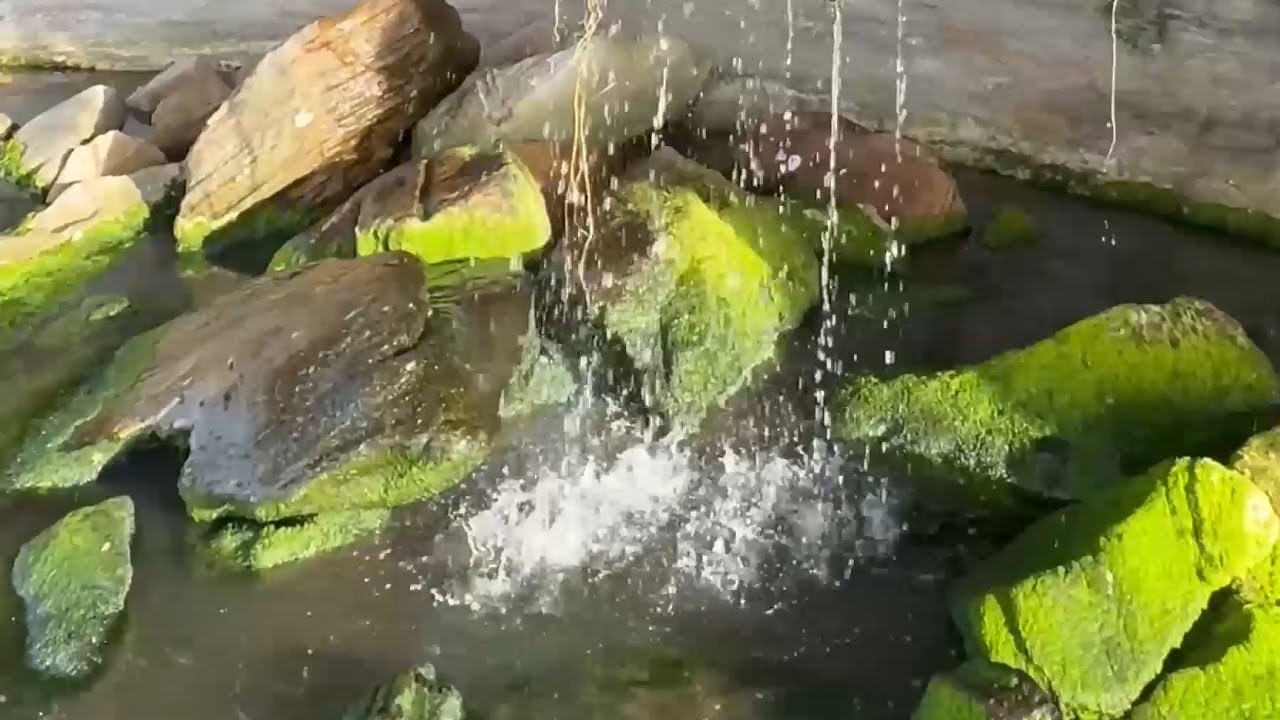 NIKMATI SUARA AIR ALAMI, TERAPI RELAKSASI UNTUK PIKIRAN TENANG #relaxing #healing #nature