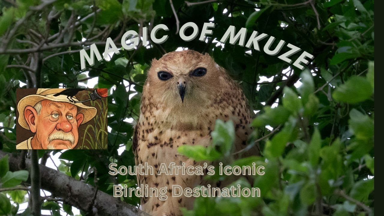 Magic of Mkuze.  Iconic Birdwatching destination