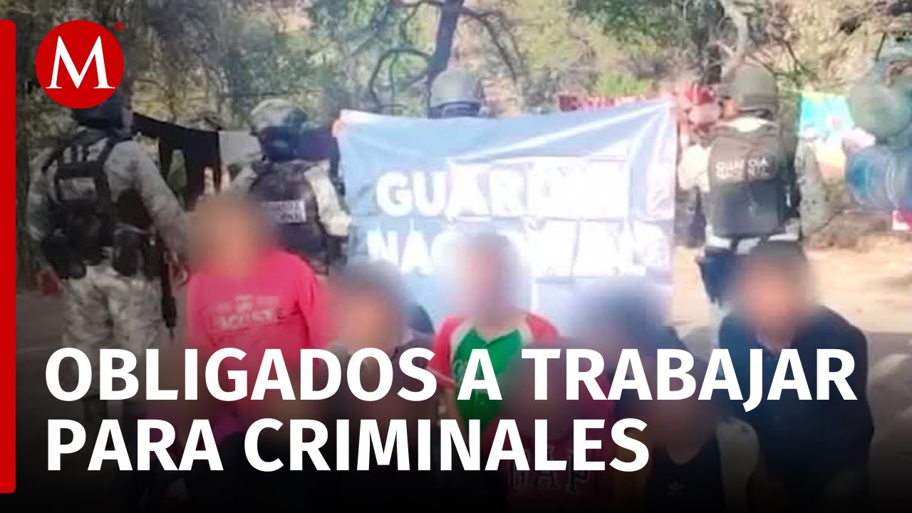 Liberan a 10 personas de un campamento delictivo en Zacatecas