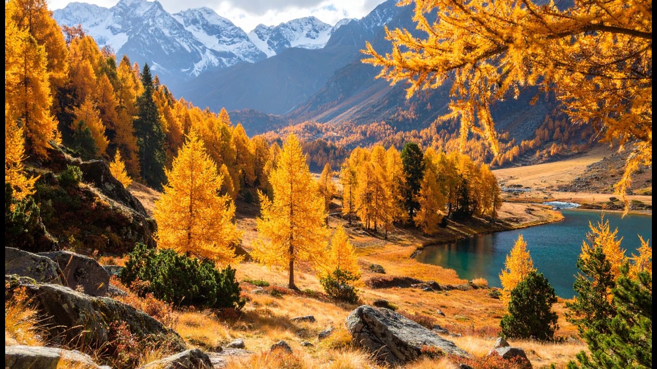 🍂 When Switzerland Turns to Gold - Magical Autumn Landscapes in 4K