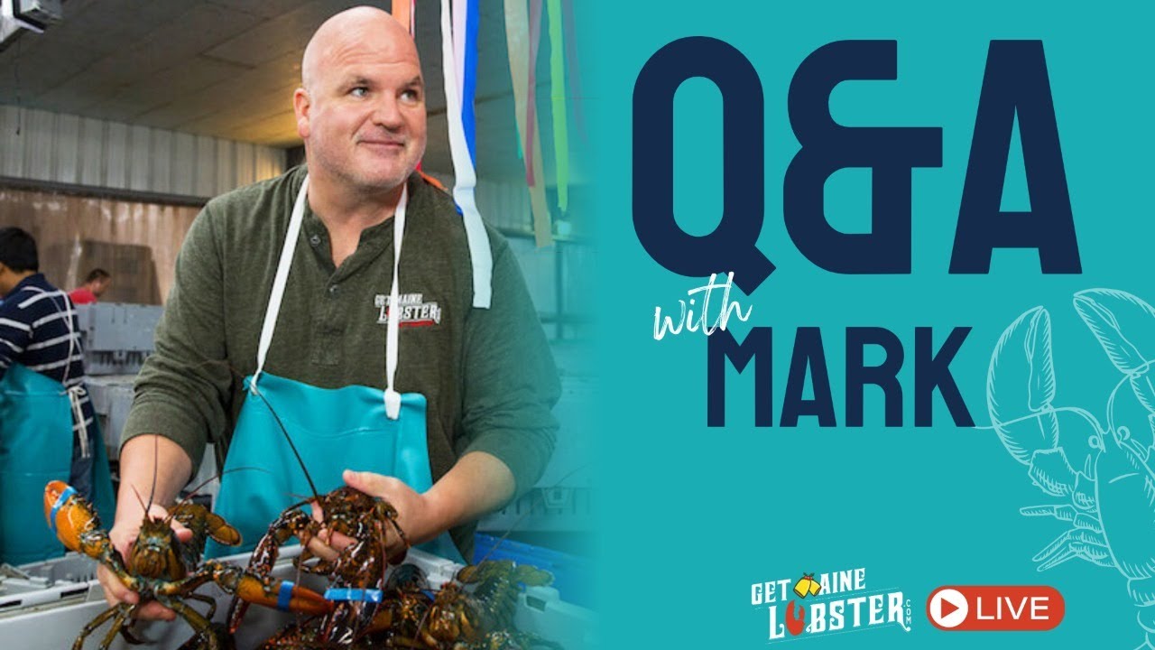 Wharfside Q&A