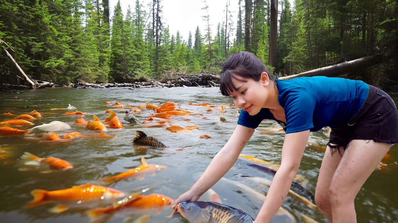 Young Girl’s Amazing Fishing Skills | Catching Big Fish from Abandoned Ponds to Sell at the Market