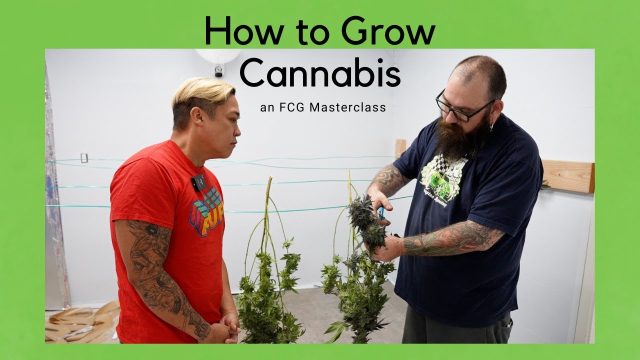 FCG How to Grow Cannabis Masterclass Series Trailer