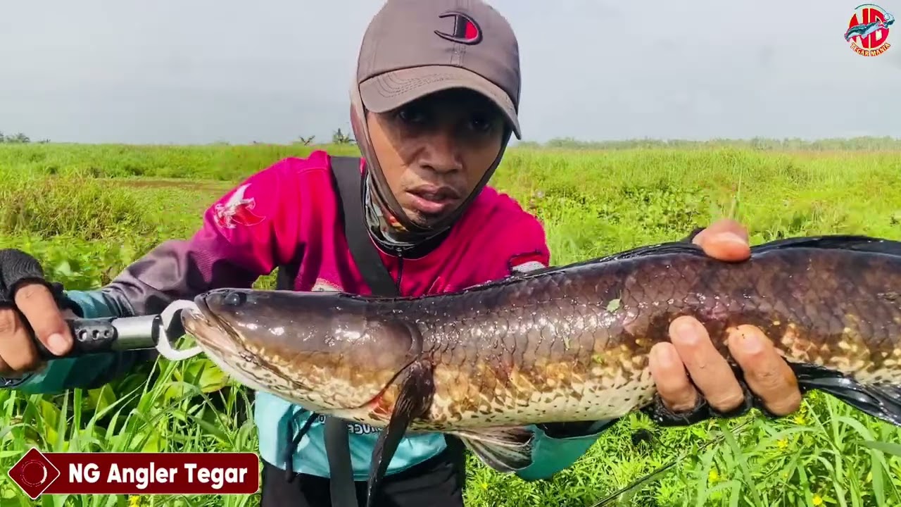 Spot”FINALTI” Saat Sang Monster Menampakkan Wujudnya