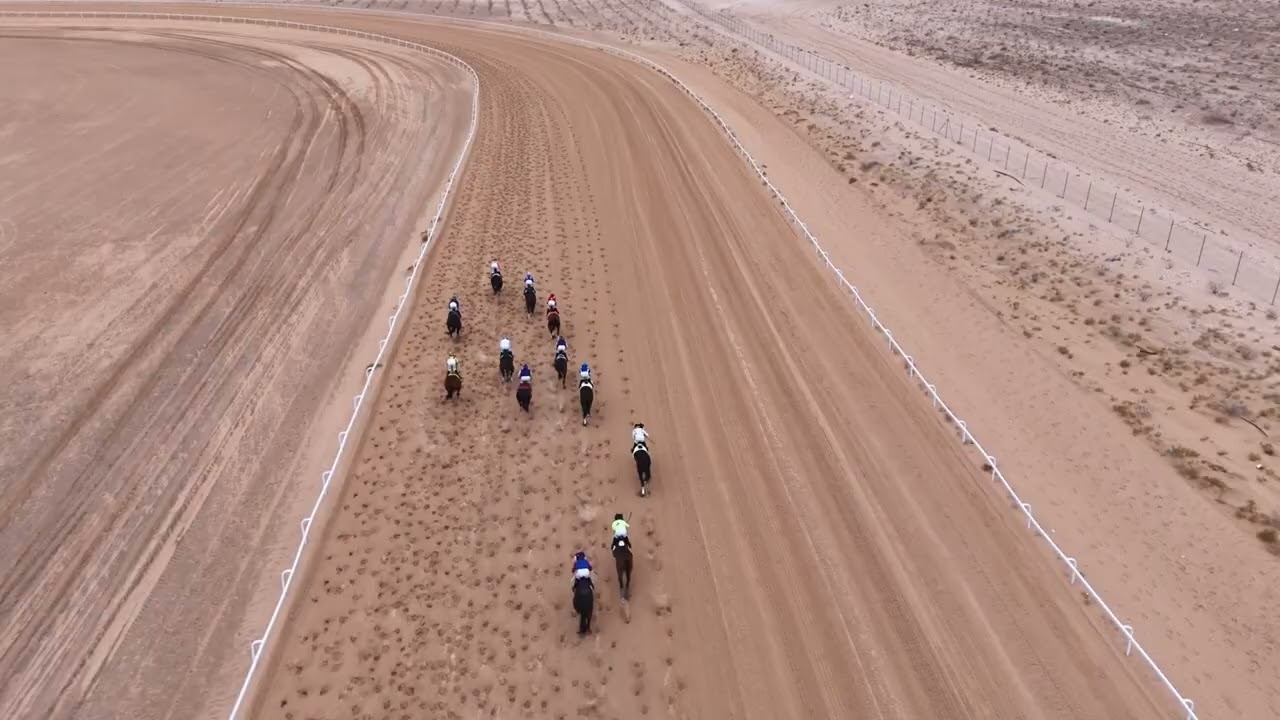 ميدان الفروسية بالأحساء لعام ١٤٤٧هـ الحفل (15) شوط الخامس المركز الأول ( زاهد) 