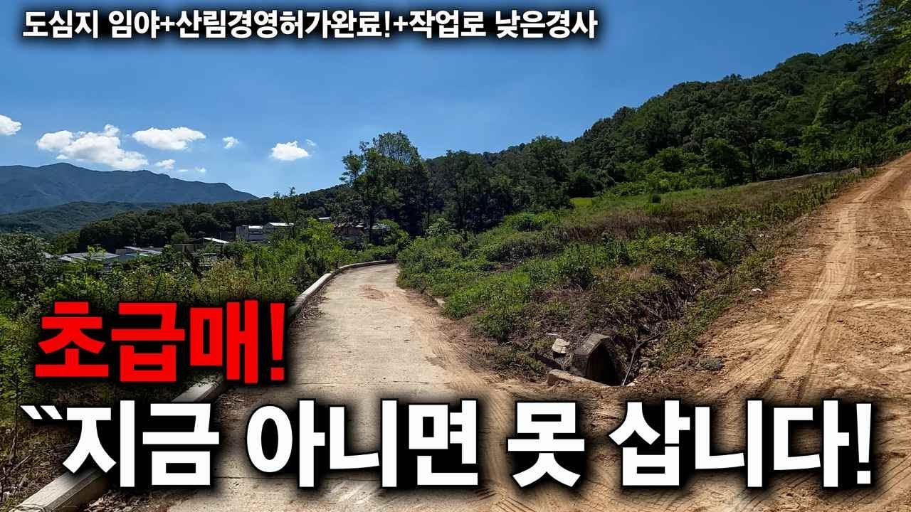 흙만 팔아도 땅 값 나오는``시세 반값도 안되는 도심지 임야 급매 !건축가능!산림경영허가완료~지금 아니면 못 삽니다! 마사토 토질에 낮은경사 ! 경북 김천 임야매물 세상사는 부동산