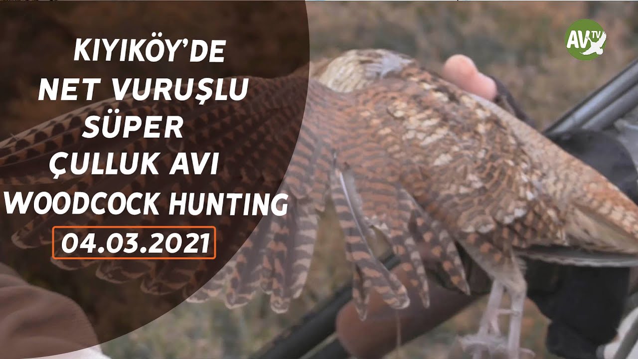 WOODCOCK HUNTING MURAT SEÇKİN İLE SEÇKİN AVLAR KIYIKÖY ÇULLUK AVI