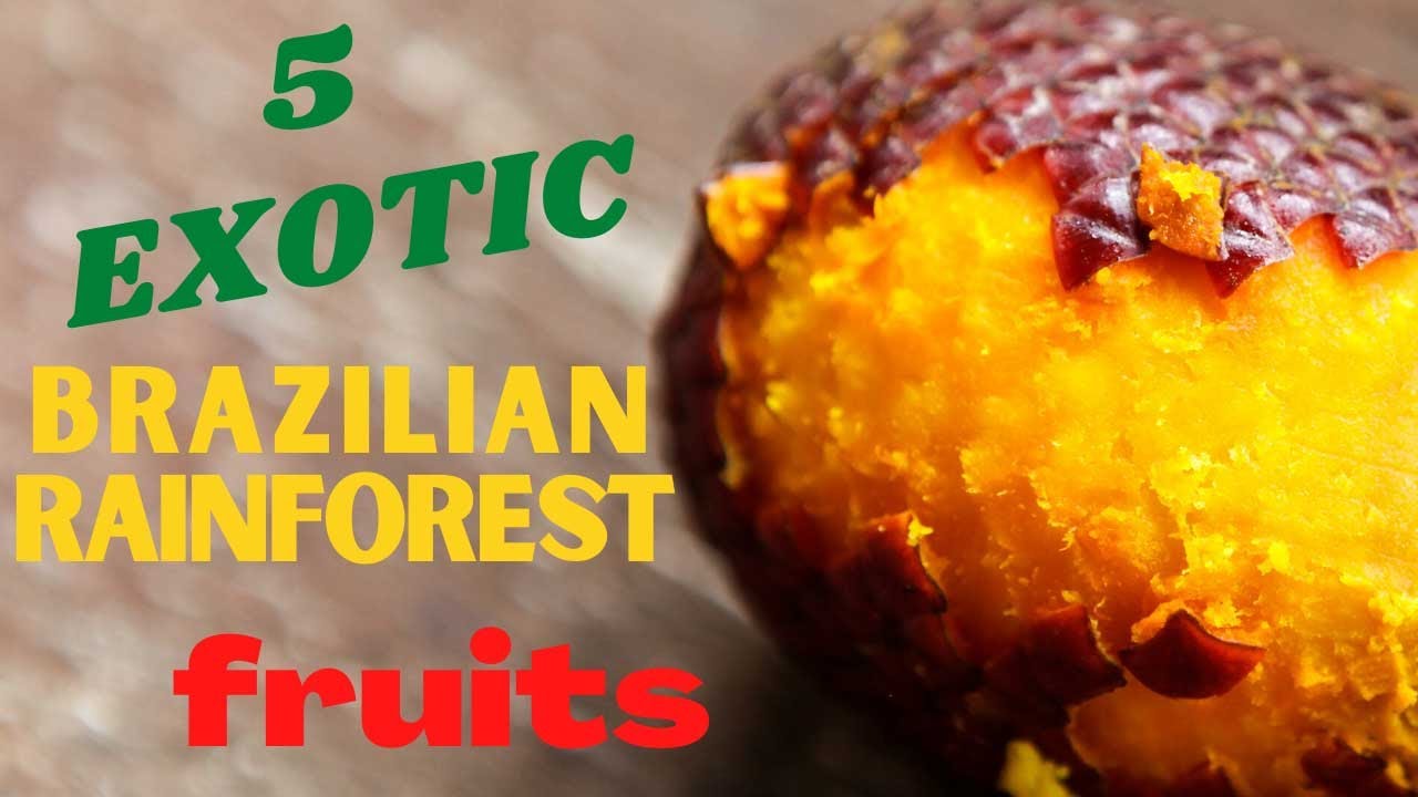 5 Popular Brazilian Rainforest Fruits from the Amazon