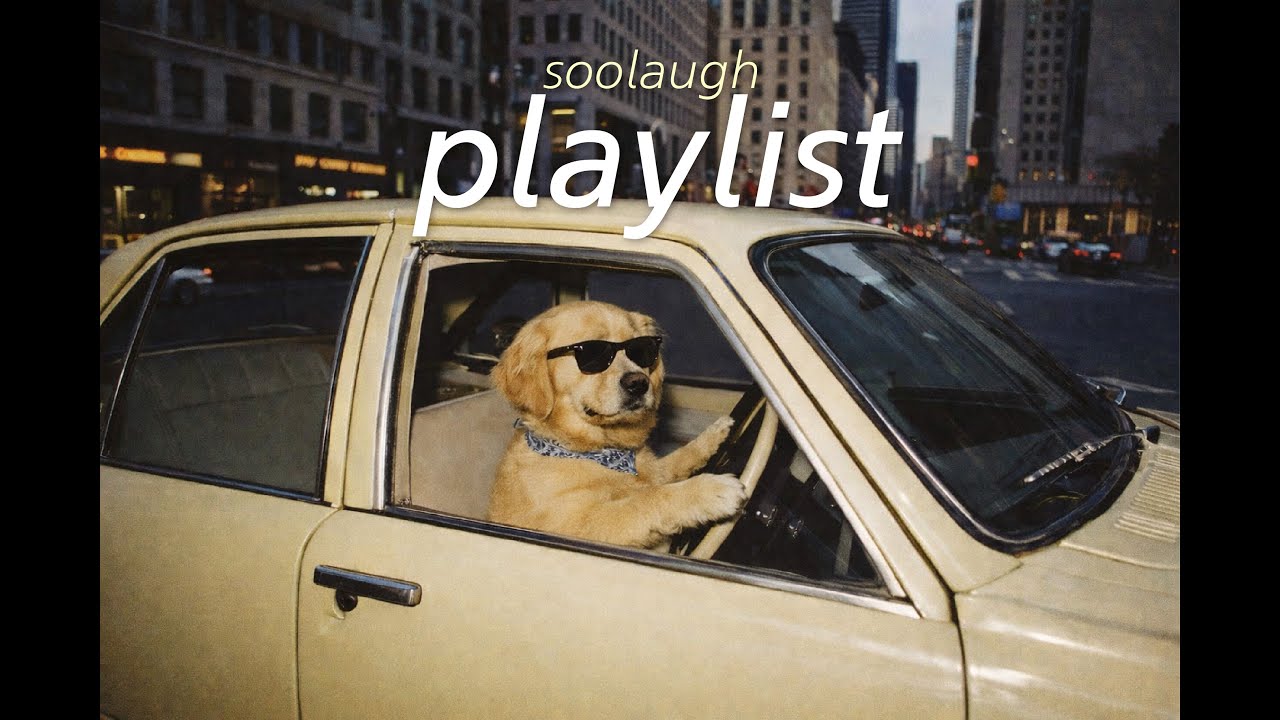 [𝙋𝙡𝙖𝙮𝙡𝙞𝙨𝙩] 플레이리스트🎧 |  내 마음이 먼저 출발했어 설렘 충전 노래들 💜soolaugh | 트렌디 POP | 광고없는 1시간 플레이리스트