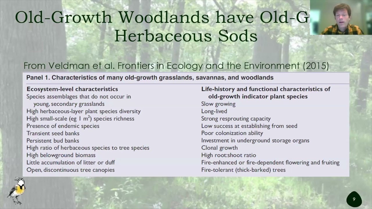 Identifying and Caring for Oak Woodlands