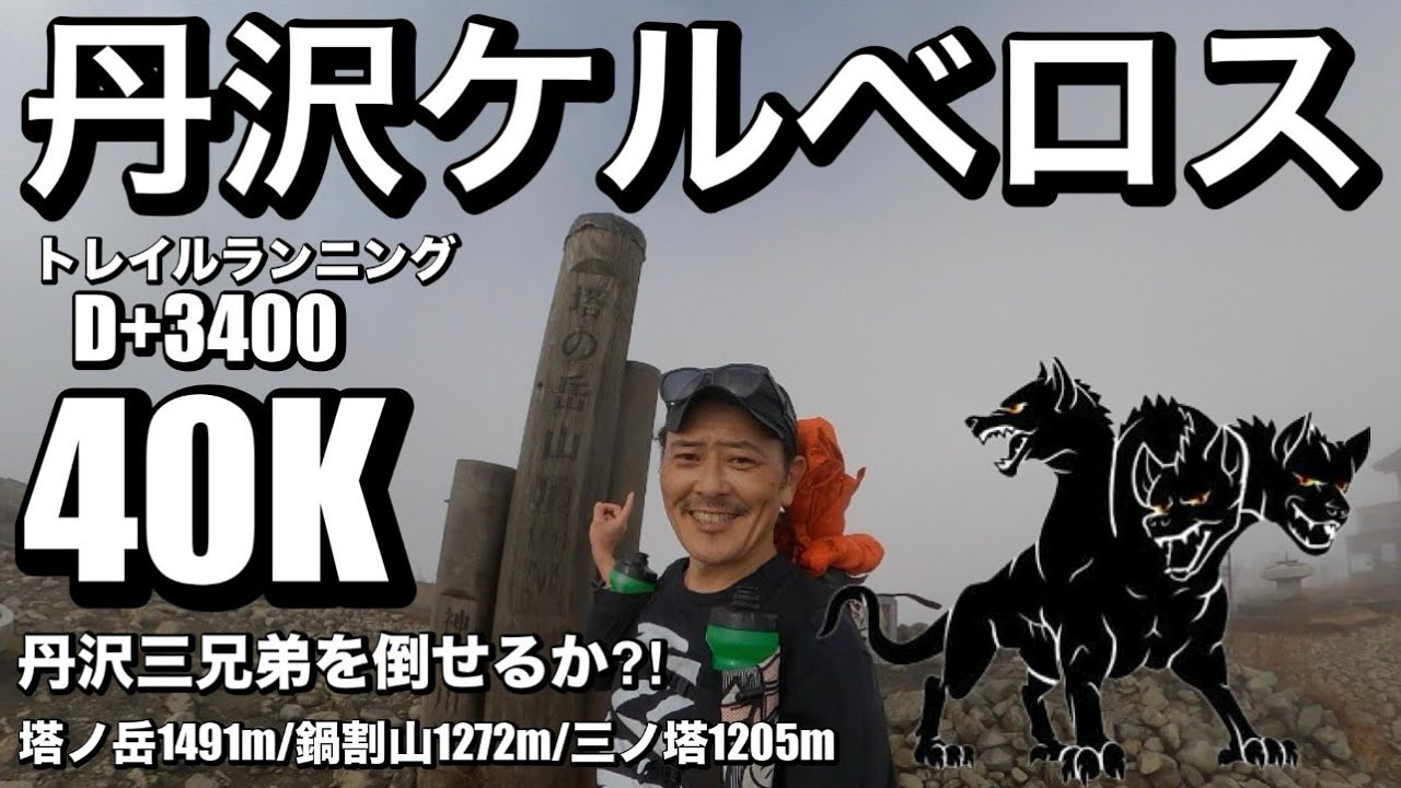 【トレラン/チャレンジコース編/丹沢ケルベロス】精神が負けるか？肉体が負けるか？神奈川県/丹沢三兄弟/塔ノ岳/鍋割山/三ノ塔/を倒せるのか？！/1000m越えを３ピストンする激登りトレランコース