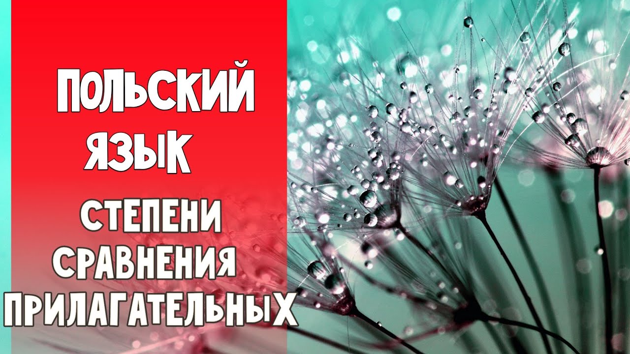 50 Степени сравнения прилагательных. Польский язык.