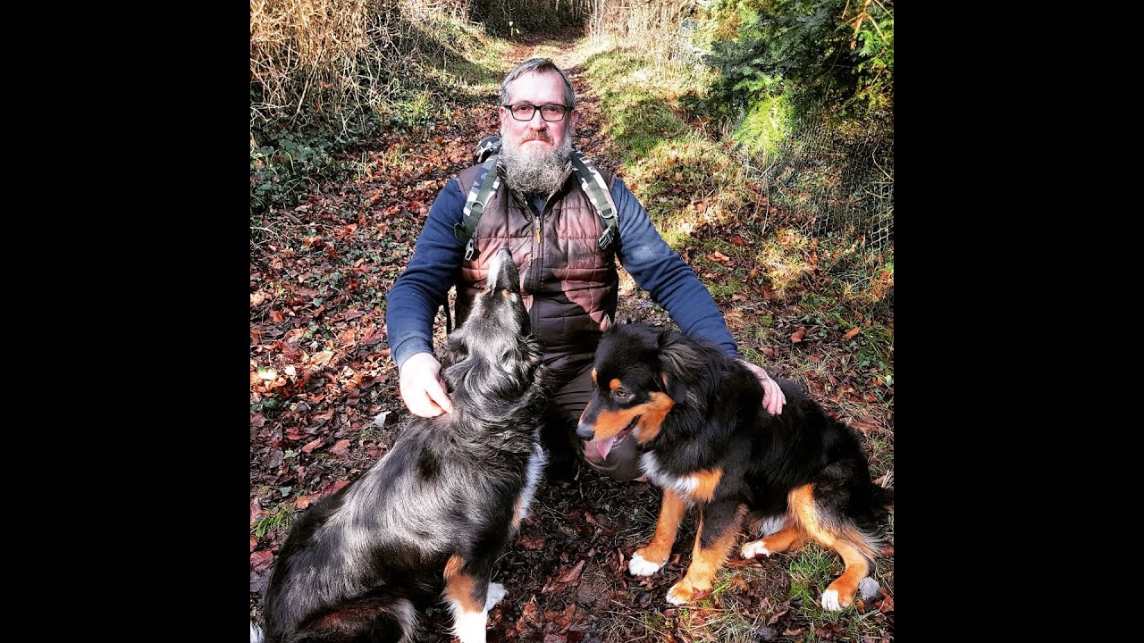 Fabriquer un arc de survie: 1ère partie, découverte des bois d'arcs et de flèches locaux