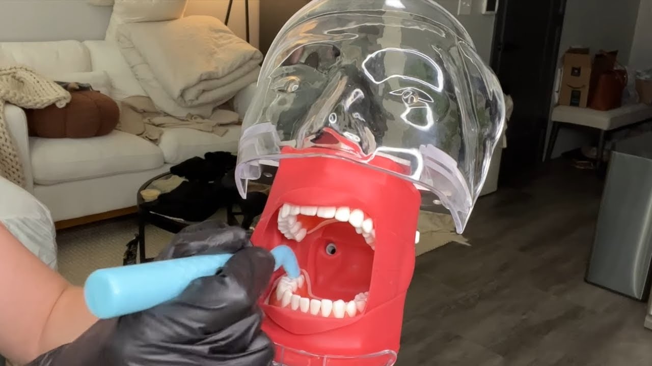 ASMR | Realistic Dentist Cleaning Visit 🦷// using REAL dental typodont *clickity clackity sounds*