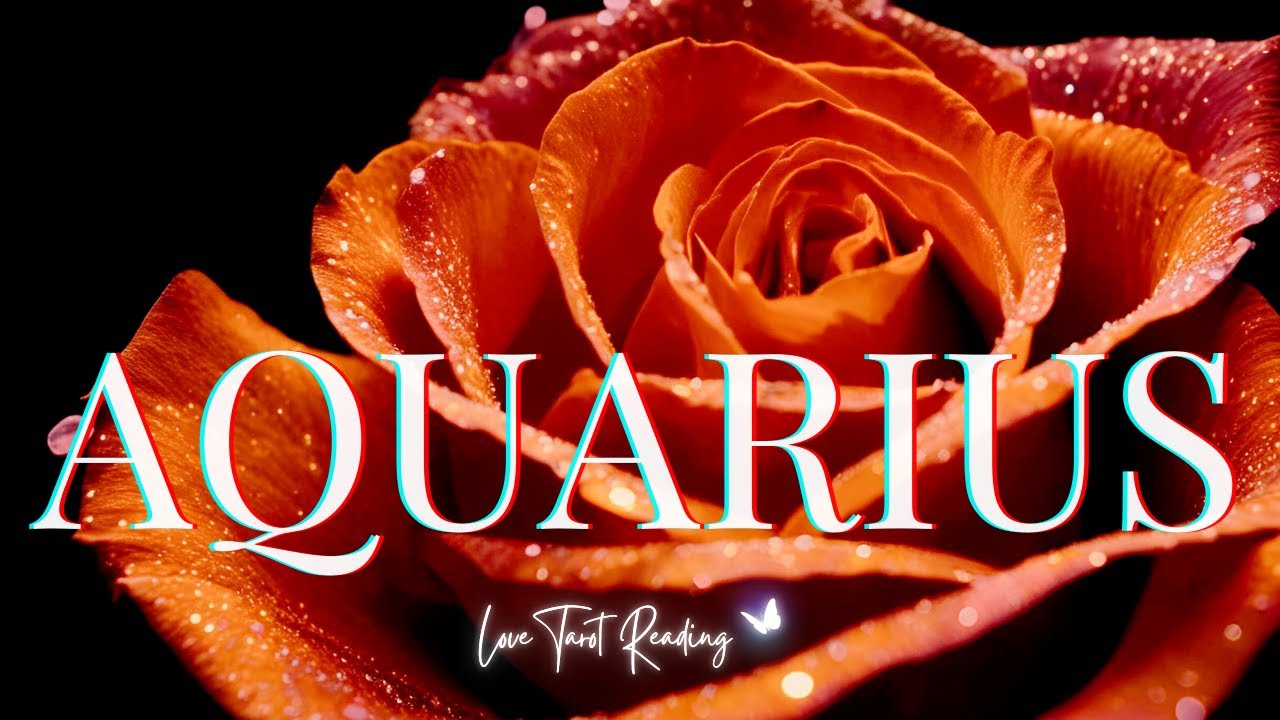 🧡 AQUARIUS Now is the Time Where You See it All Fall Into Place! TAROT READING SOULMATE HOROSCOPE