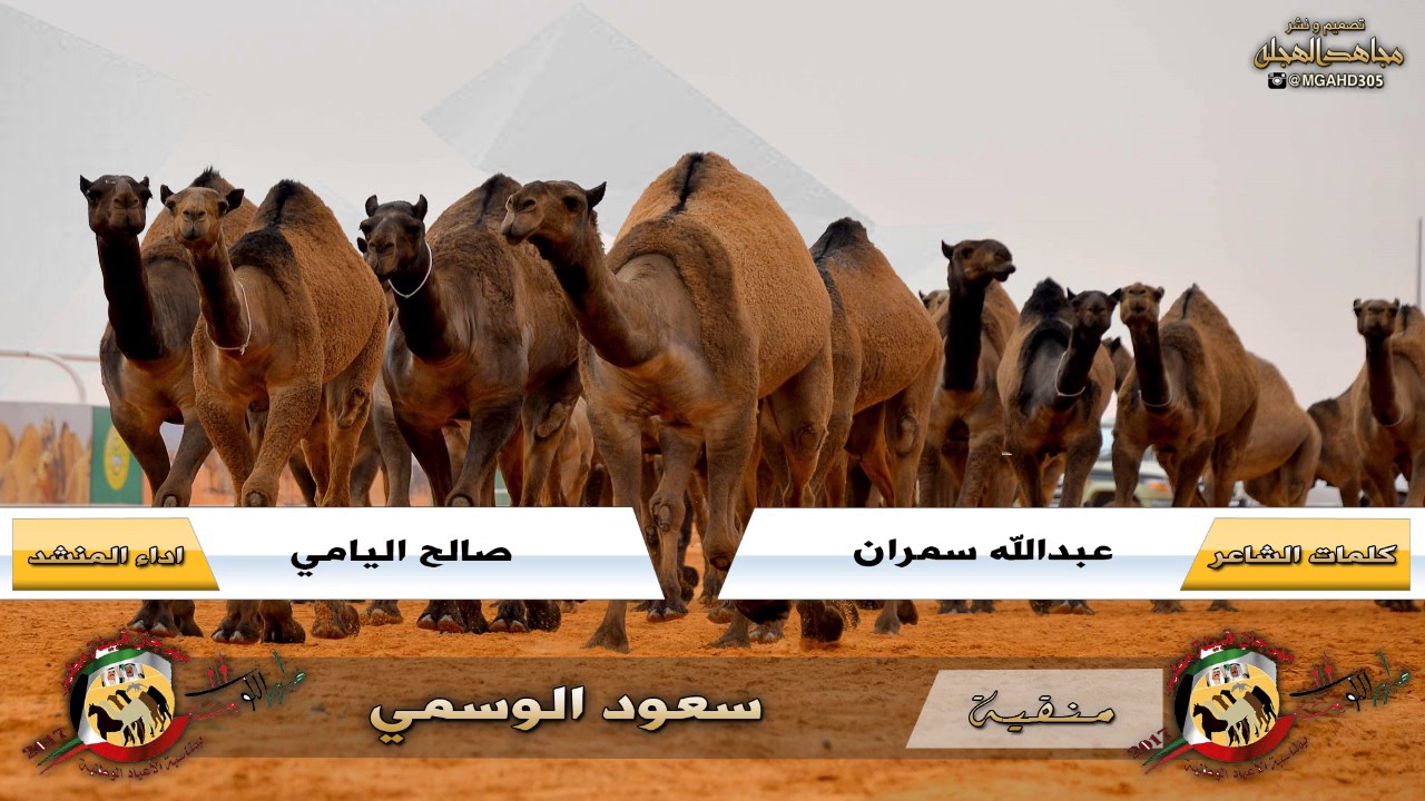 منقيه | سعود الوسمي ✨ كلمات |عبدالله سمران العصيمي  ✨ اداء | صالح اليامي 2017