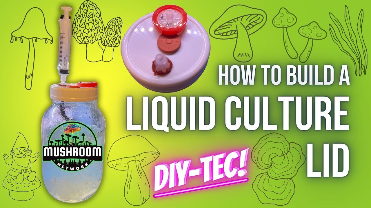 DIY-TEC: LC Jar Lids (The Mushroom Network)