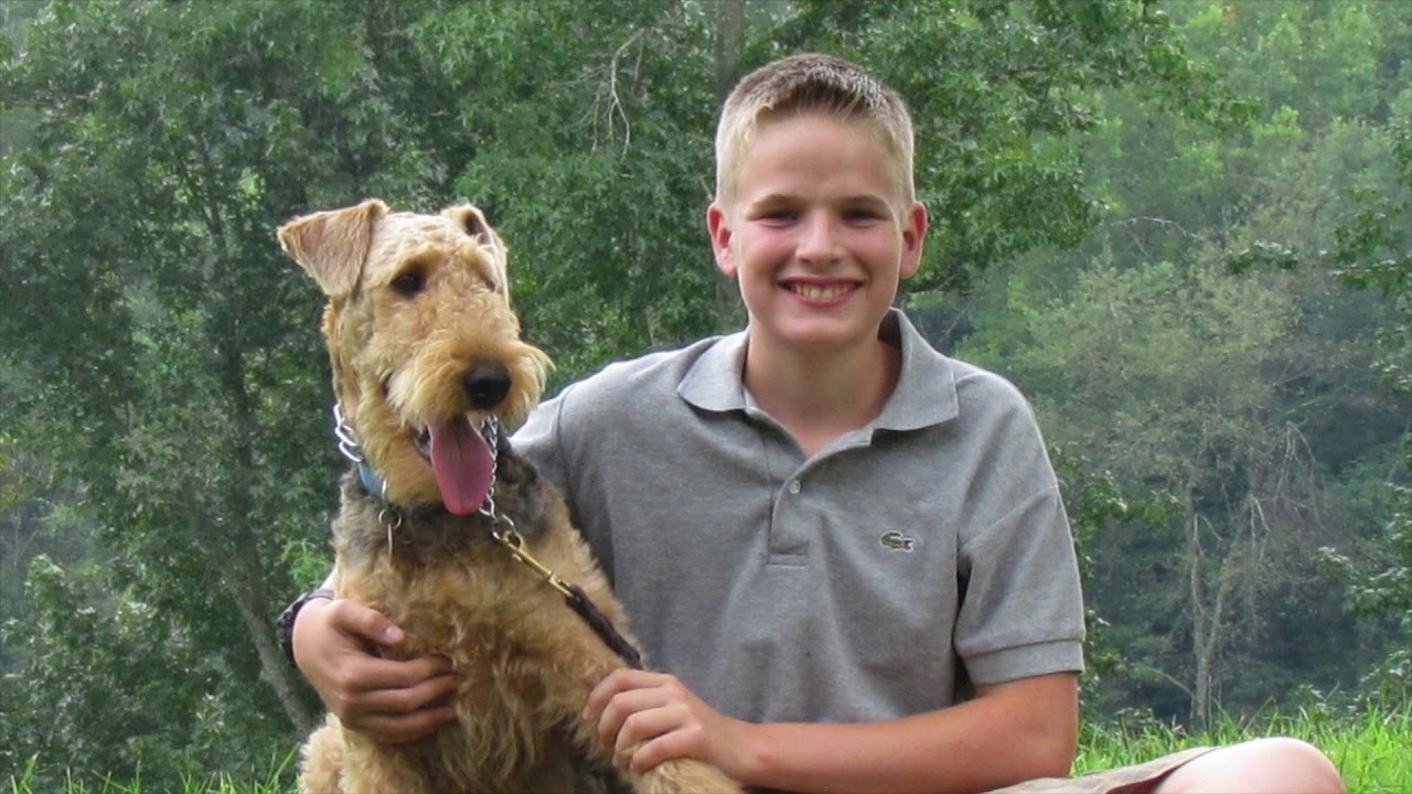 A Boy, a Dog, and HWA