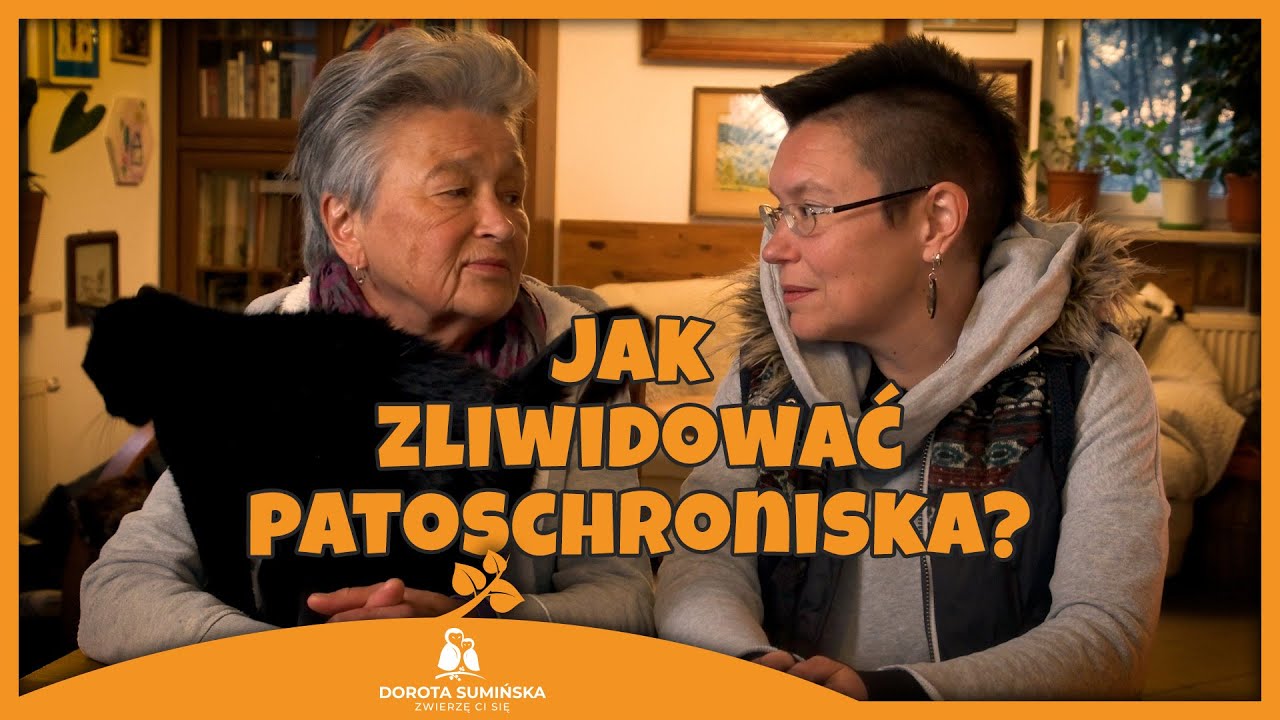 PORADNIK #43: Jak zlikwidować patoschroniska?