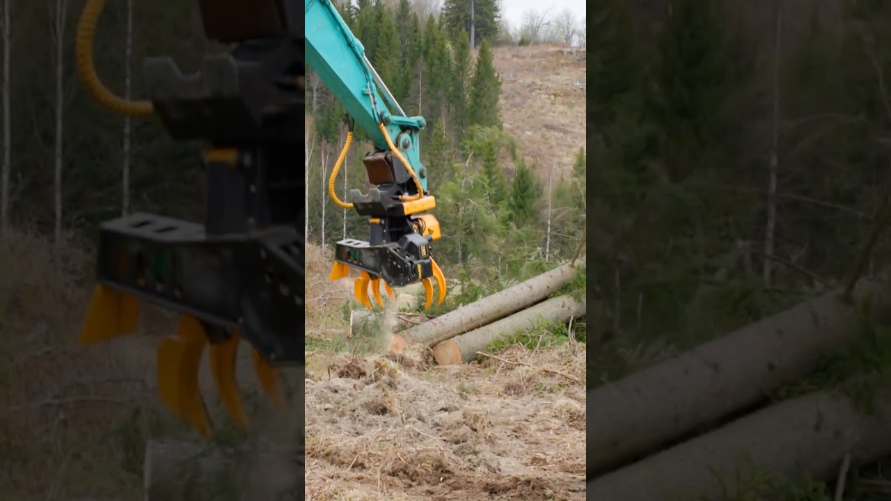 Cutting down a big spruce with the TMK Grapple Saw on a 21 ton kobelco 💪