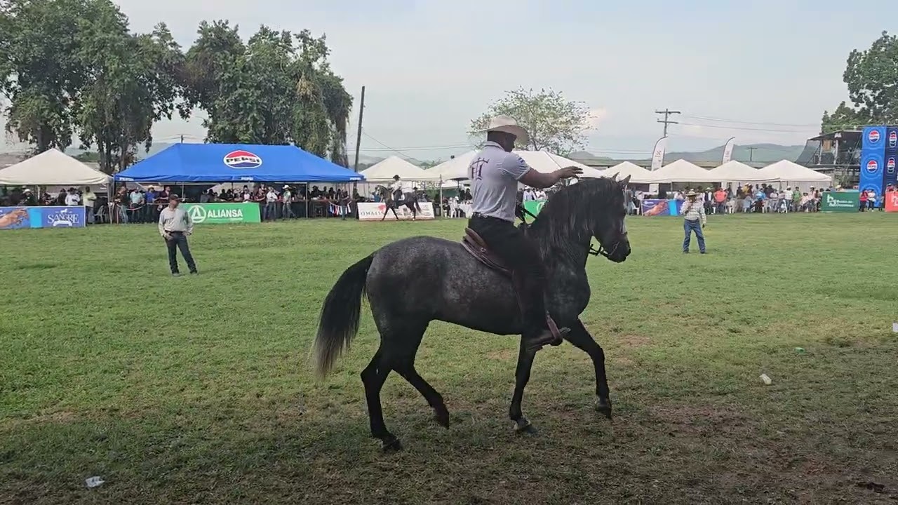 Competencia de Domaci&oacute;n en el Agas