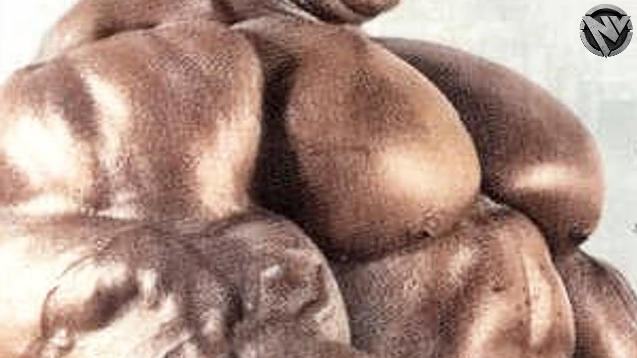 IRON WARRIOR - VICTOR RICHARDS MOTIVATION