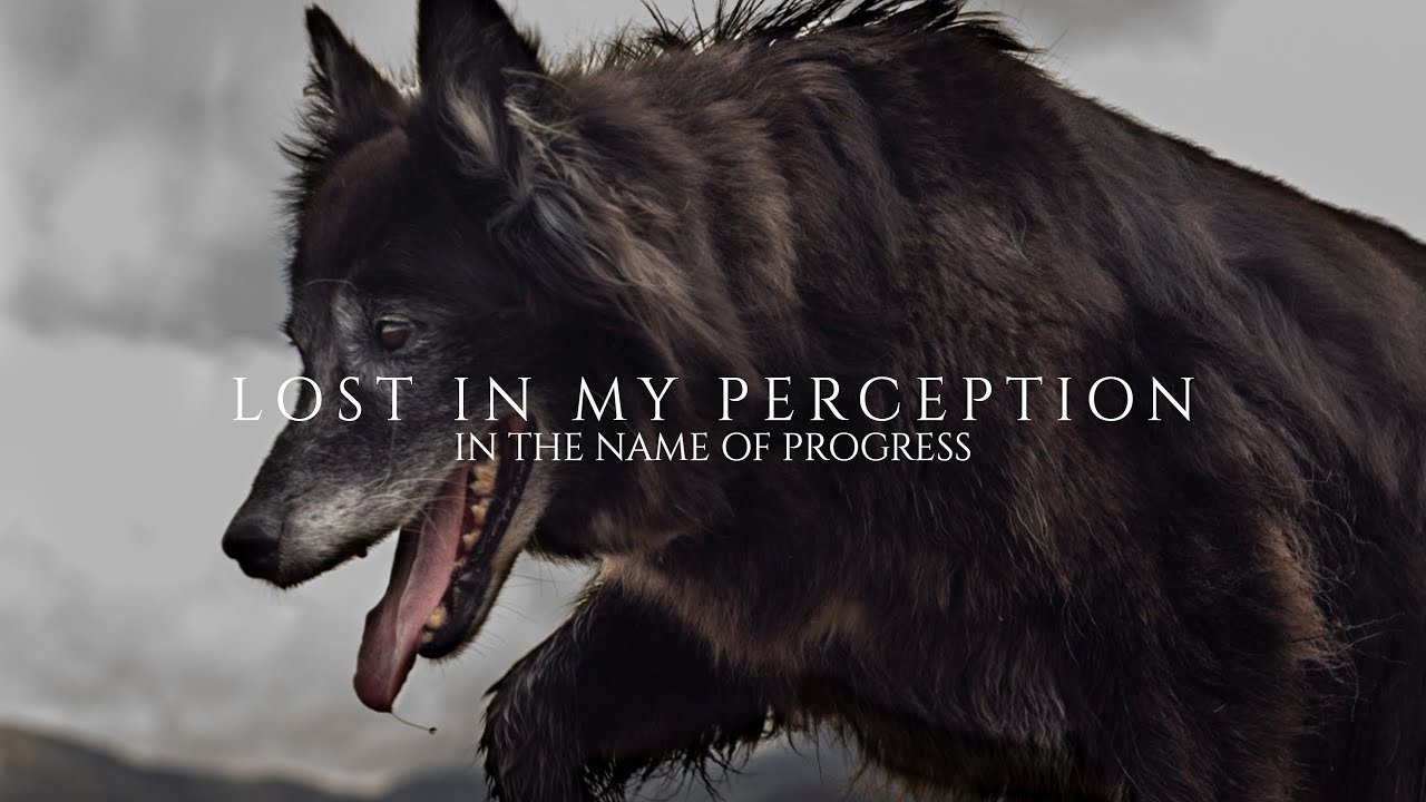 LOST IN MY PERCEPTION - In The Name Of Progress (Full Album)
