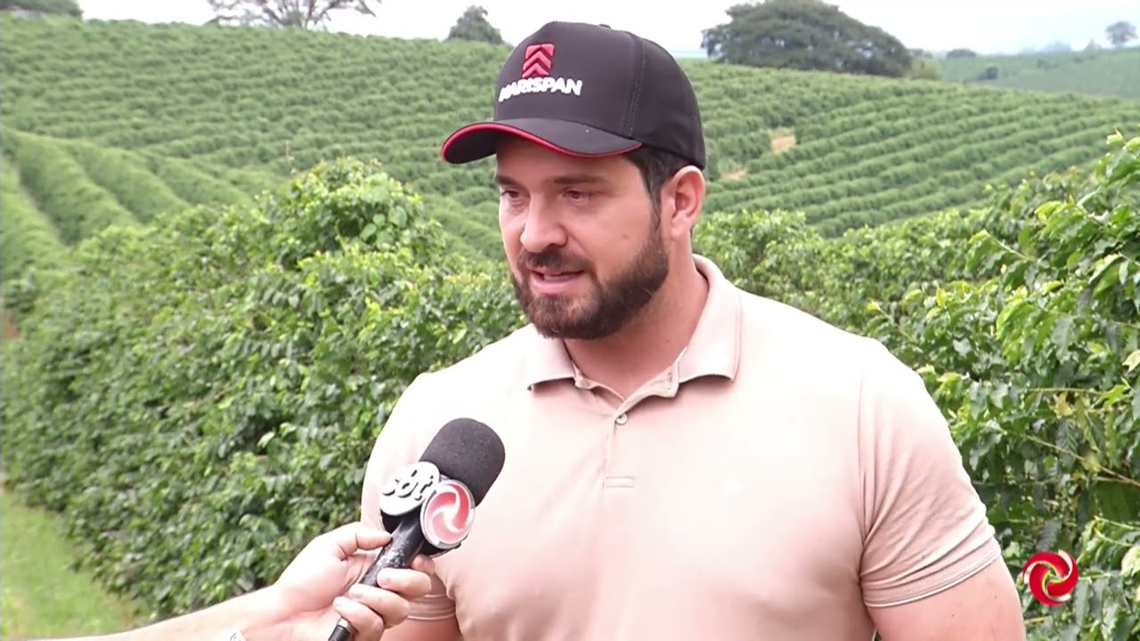 Expectativa de safra recorde e realidade na lavoura de café
