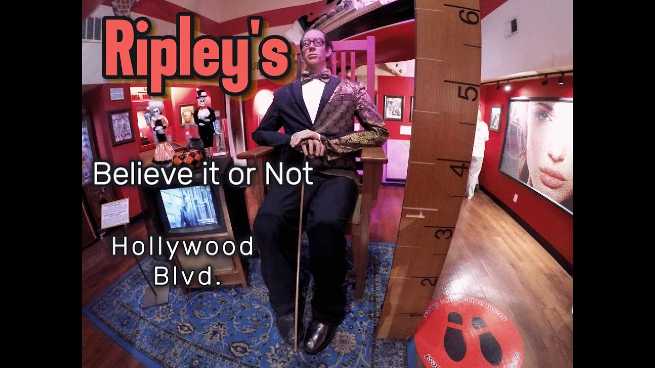 Exploring the Rare and Unusual: Ripley's Hollywood Museum
