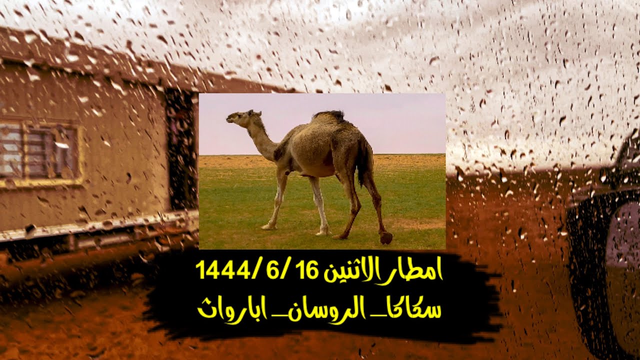 سلسلة الصحراء _ امطار سكاكا ١٤٤٤/٦/١٦