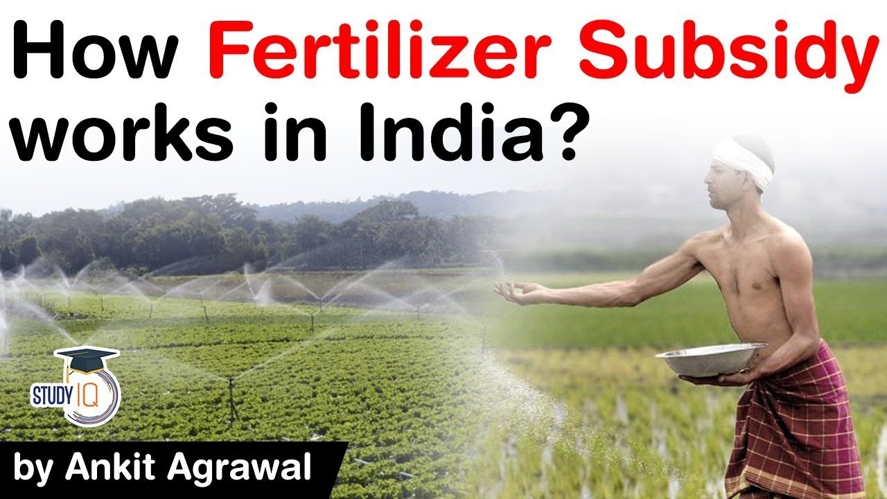 Fertilizer Subsidy in India how it works? Steps India can take to stop leakage of fertilizer subsidy