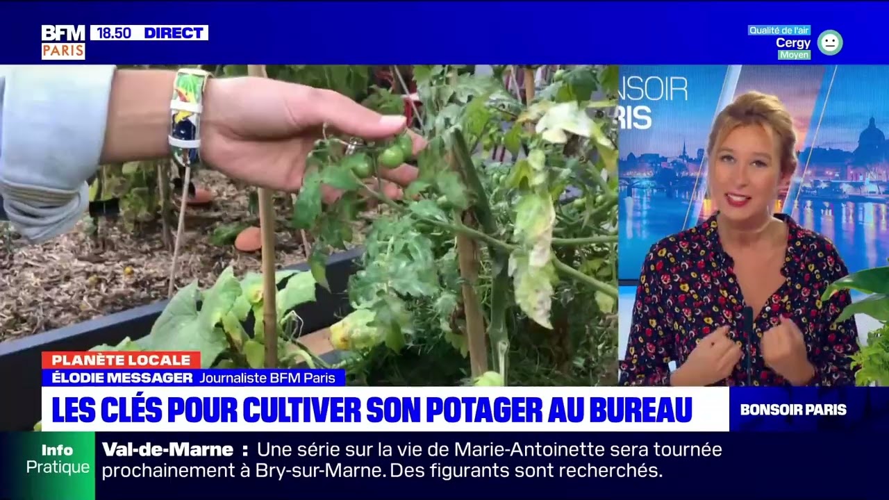Planète locale chronique