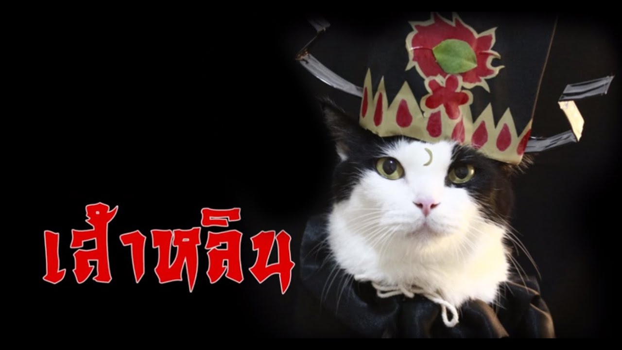 Theycallmemeaow - เพลง(ซาลา)เปาบุ้นเส้า Cover by พี่เส้าหลิน