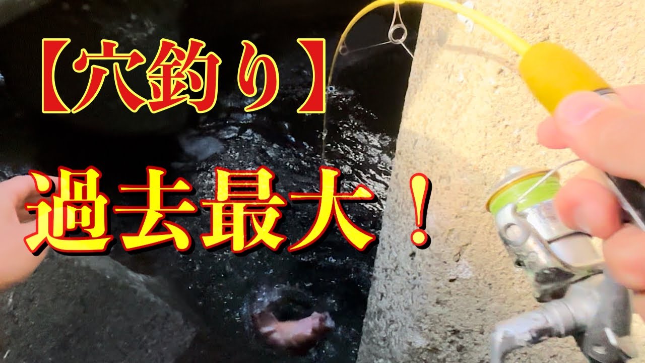 【穴釣り】テトラの穴に鶏肉を落とした結果が凄すぎた！