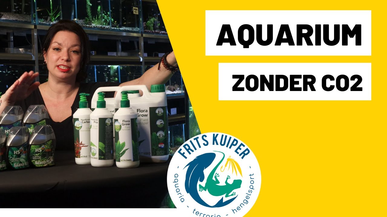Aquarium zonder CO2 | hoe doe je dat?