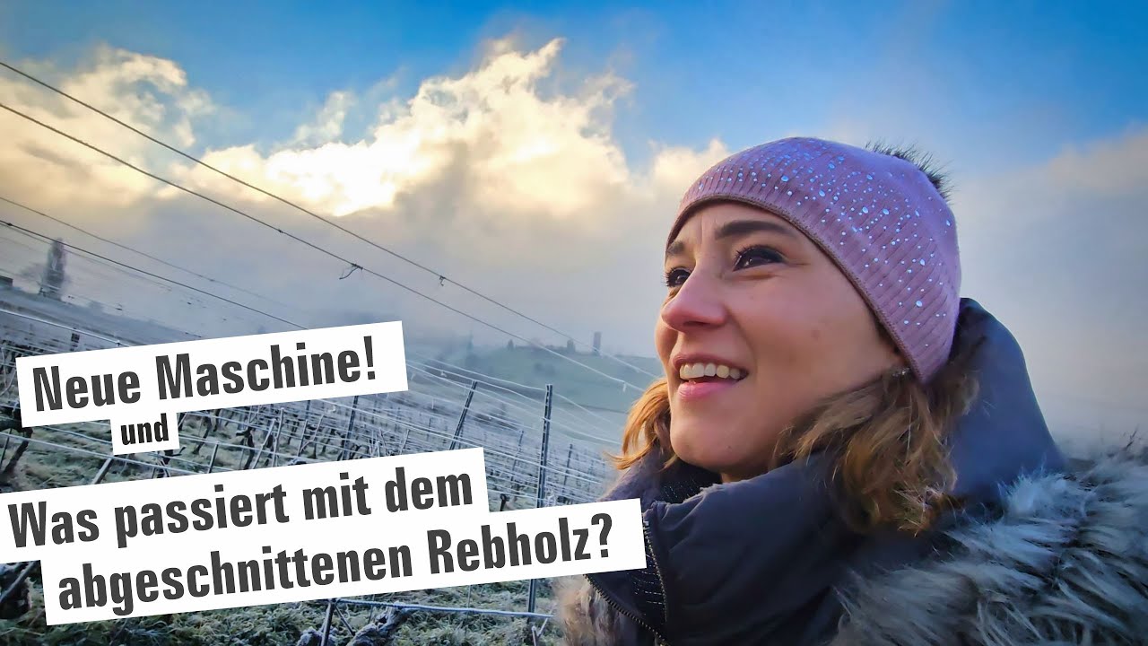 Was passiert mit dem abgeschnittenen Rebholz. Eure Fragen und die neue Maschine! 384