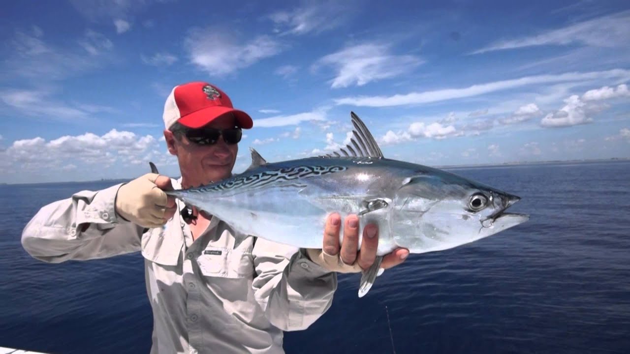 Scott Meridian Review and Field Test with Telluride Angler